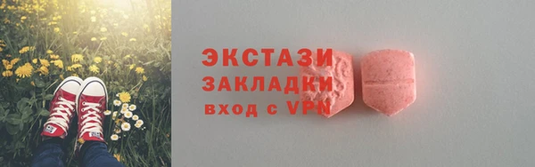 дживик Няндома