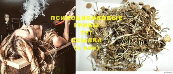 твердый Нягань