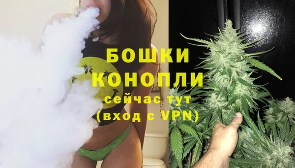 дживик Няндома