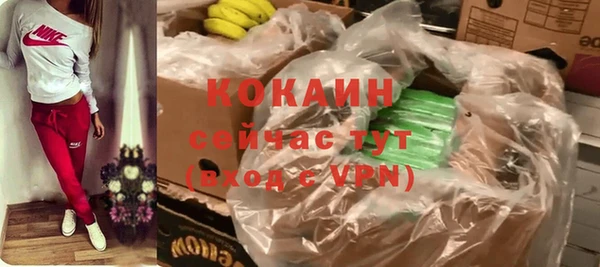дживик Няндома