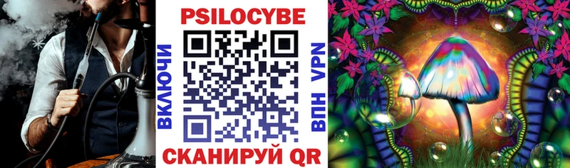 Псилоцибиновые грибы прущие грибы  Мурино 